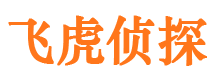 伊宁侦探公司